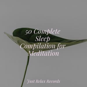 50 Complete Sleep Compilation for Meditation - Musica romantica instrumental