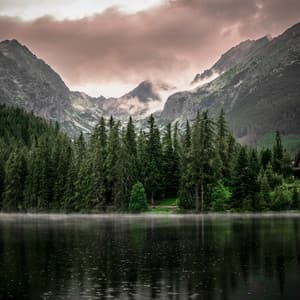 365 Rainfall: Rain Sounds For Deep Sleep - Meditation Rain Sounds