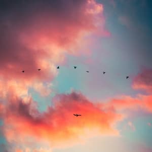 Calming Grey Smooth Sound - White Noise Collectors