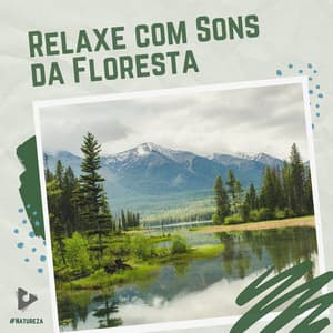 Relaxe com Sons da Floresta - #Natureza
