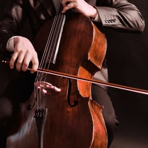 Classical Orchestra for Spa Serenity - Charles Anderson