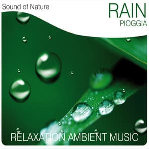 Rain - Sound of Nature Band