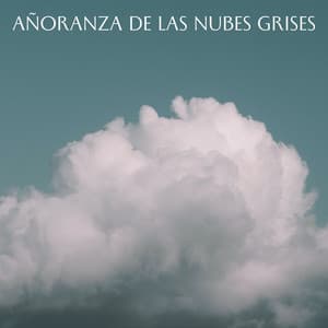 Añoranza De Las Nubes Grises - Estudio de sonido de lluvia