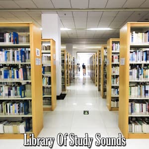 Library Of Study Sounds - White Noise Research