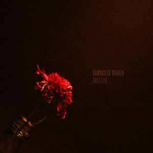 Downsized Garden - Axelites