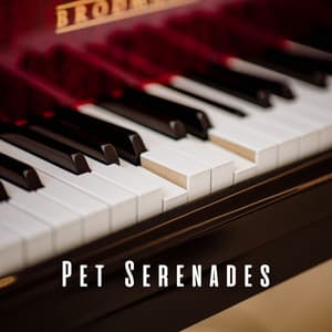 Pet Serenades: Piano Melodies - Piano Animal