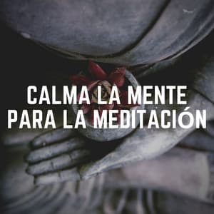 Calma la Mente para la Meditación - Meditaciónessa