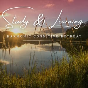 MindfulAcuity: Meditative Soundscapes for Study & Learning - Ari Mindful
