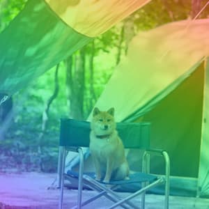 Ambiance for Lazy Hound - Relax My Puppy