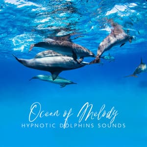 Ocean of Melody: Hypnotic Dolphins Sounds - Jasmine Soft