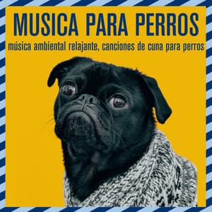 Música para perros: música ambiental relajante, canciones de cuna para perros - Relaxmydog
