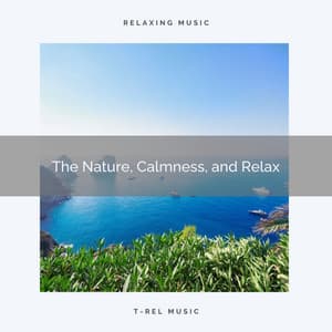 The Nature, Calmness, and Relax - Jungle Sleep Sounds
