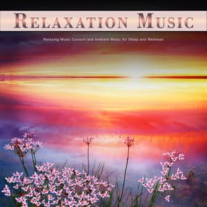 Relaxation Music: Relaxing Music Consort and Ambient Music for Sleep and Wellness - Relaxation Bliss