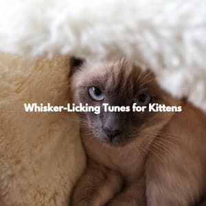 Whisker-Licking Tunes for Kittens - Easy Listening Background Jazz