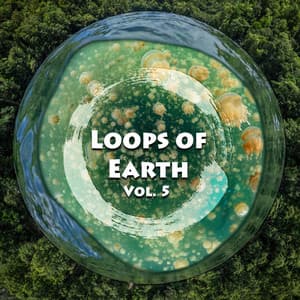 Loops of Earth, Vol. 5 - Zen Loops