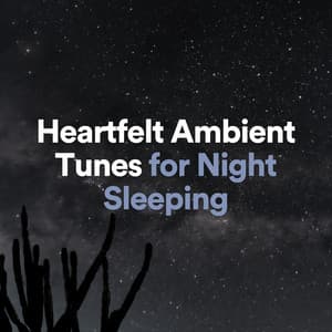 Heartfelt Ambient Tunes for Night Sleeping - Ultimate Massage Music Ensemble