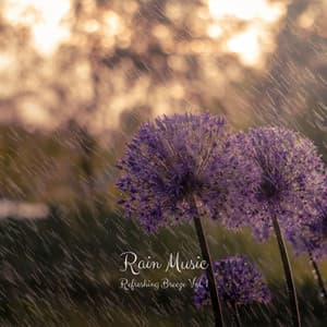 Rain Music: Refreshing Breeze Vol. 1 - Acupuncture Music