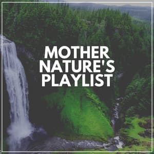 Mother Nature's Playlist - The Nature Soundscapes