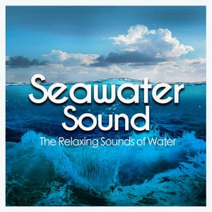 Seawater Sound - The Relaxing Sounds of Water