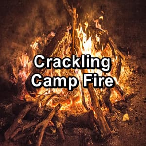 Crackling Camp Fire - Fireplace