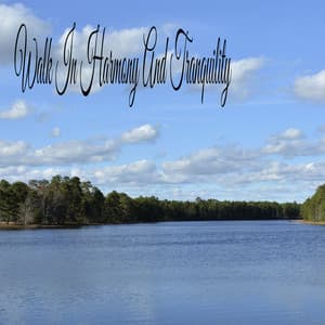 Walk In Harmony And Tranquility - Soothing Music Academy