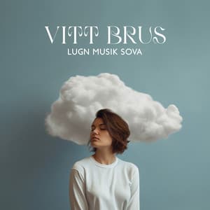 Vitt Brus: Lugn Musik Sova, Godnattmusik för Barn - Avslappning ljud klubb