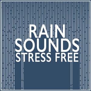 Rain Sounds: Stress Free - Relaxing Sounds of Rain Music Club