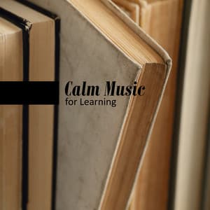 Calm Music for Learning - Music for Concentration and Better Effects - Mind Power Piano Masters