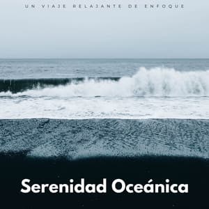 Serenidad Oceánica: Un Viaje Relajante De Enfoque - Océano y Mar