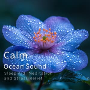 Calm Ocean Sounds - Sleep Aid, Meditation, and Stress Relief - Ocean Waves for Deep Sleep