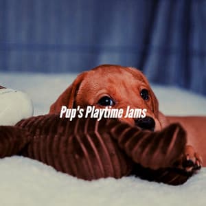 Pup's Playtime Jams - Musica para Perros