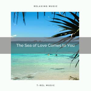 2021 New: The Sea of Love Comes to You - Shoreline Sounds