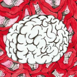 Bob - Marcin Masecki