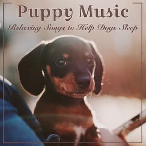 Puppy Music: Relaxing Songs to Help Dogs Sleep - Puppy Music Dreams