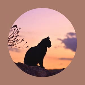 Joyful Quartet Jazz - Ambiance for Kitty Cats - Soothing Cat Music