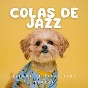 Colas De Jazz: Ritmos De Piano Para Perros - Fondo de jazz de piano con clase