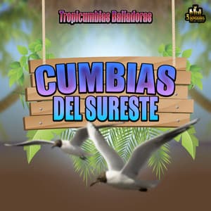 Tropicumbias Bailadoras - Cumbias Del Sureste