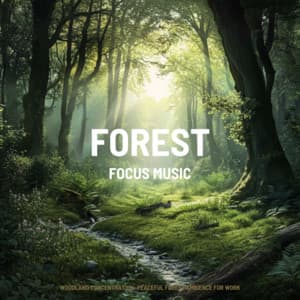 Woodland Concentration: Peaceful Forest Ambience for Work - Focus Music