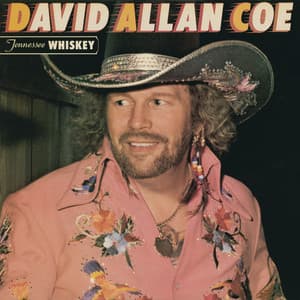 Tennessee Whiskey - David Allan Coe