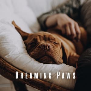 Dreaming Paws: Ambient Music for Dogs' Dreams - Ambient Music