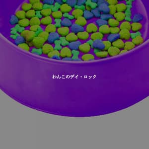 わんこのデイ・ロック - Montreal Jazz Classics