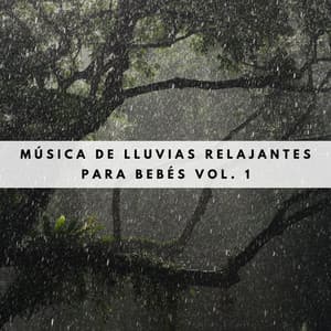 Música De Lluvias Relajantes Para Bebés Vol. 1 - Sonidos De Lluvia