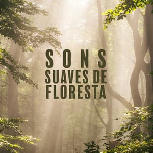 Sons suaves de floresta: Música para Relaxamento, Meditação, Yoga, Ambiente Florestal - Hipnose Natureza Sons Coleção