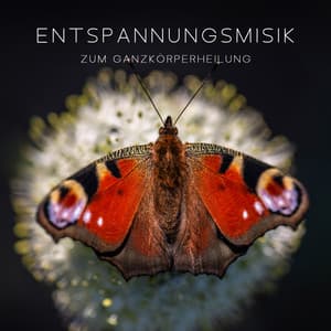 Entspannungsmusik zum Ganzkörperheilung: Naturgeräusche zum einschlafen, Schlaflosigkeit heilen, Gesünder Schlaf, Geführte Einschlafhilfe - Meditationsmusik Sammlung