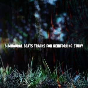 8 Binaural Beats Tracks For Reinforcing Study - Binaural Beats Recordings