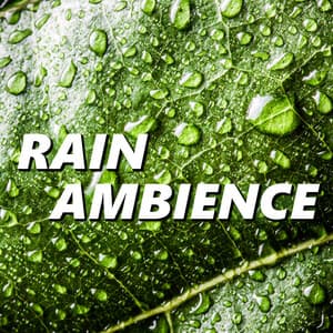 Rain Ambience - Rain Ambience