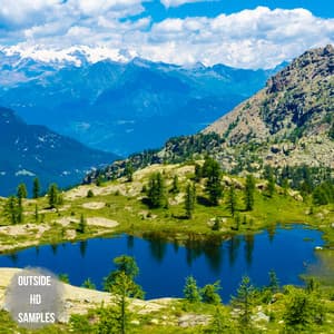 Infinite Vibrations - Dormiente