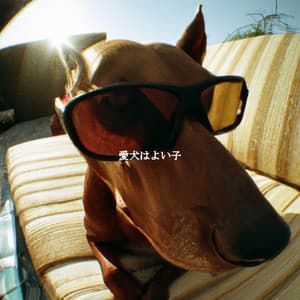 愛犬はよい子 - Coffee Shop Playlist