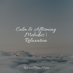 Calm & Affirming Melodies | Relaxation - The Relaxation Principle