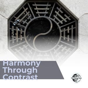 Harmony Through Contrast - Yin Yang Man
